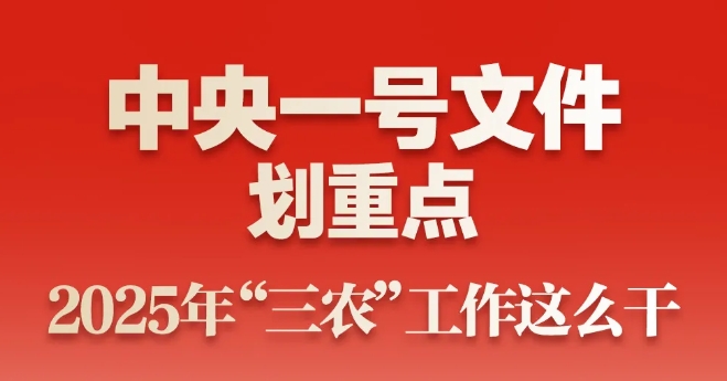 中央一號文件劃重點！