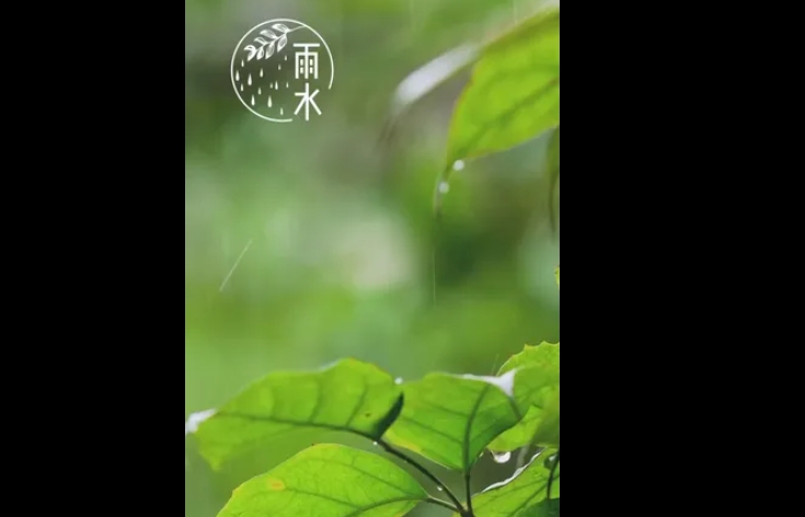絲絲雨水滋潤心田，春回大地萬物更新。雨水節(jié)氣，讓我們共同期待美好的未來，享受大自然的恩賜。