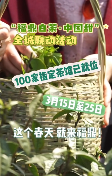 3月15日至25日來福鼎參加“福鼎白茶·中國(guó)甜”全城聯(lián)動(dòng)活動(dòng)，100家指定茶館等你來體驗(yàn)！