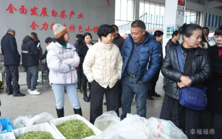 2025年福鼎白茶大數(shù)據(jù)溯源平臺今日正式開啟！