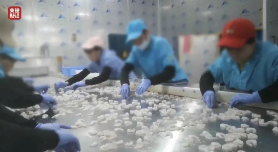查封！關(guān)停！各地多部門連夜查處3·15曝光問題