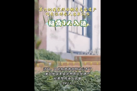 第六批國家級非物質文化遺產代表性傳承人名單公布，福鼎白茶制作技藝非遺傳承人林振傳入選