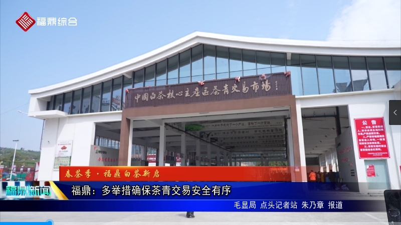 福鼎：多舉措確保茶青交易安全有序