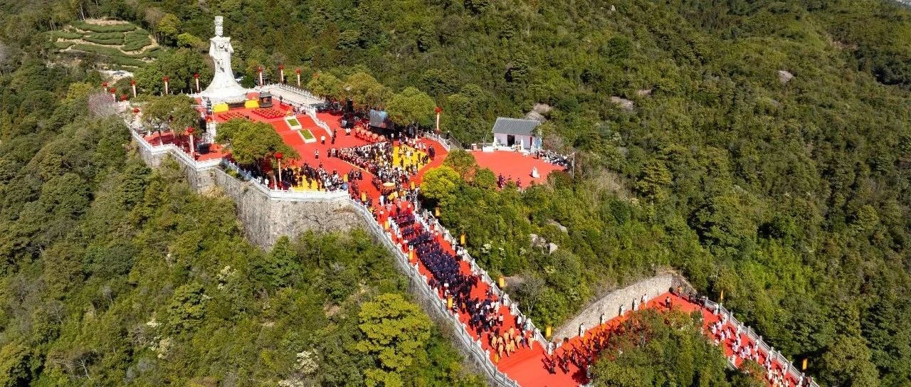 震撼！這就是中國白茶始祖的排面！