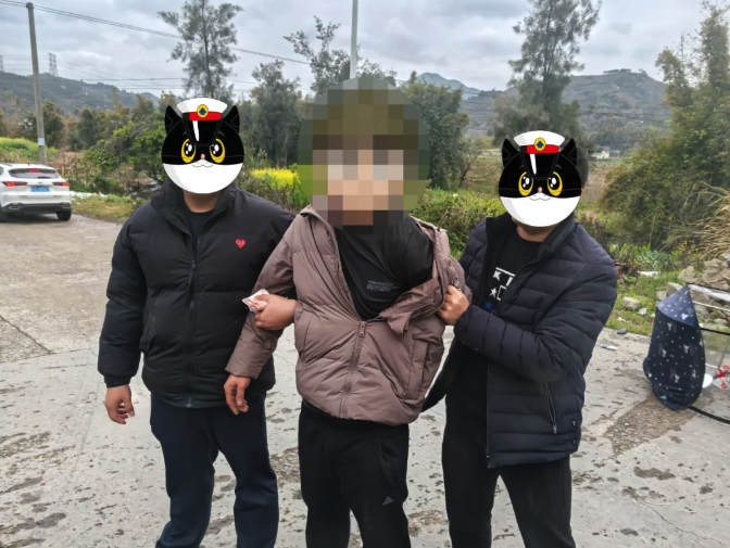 @福鼎人，近期采茶千萬要注意??