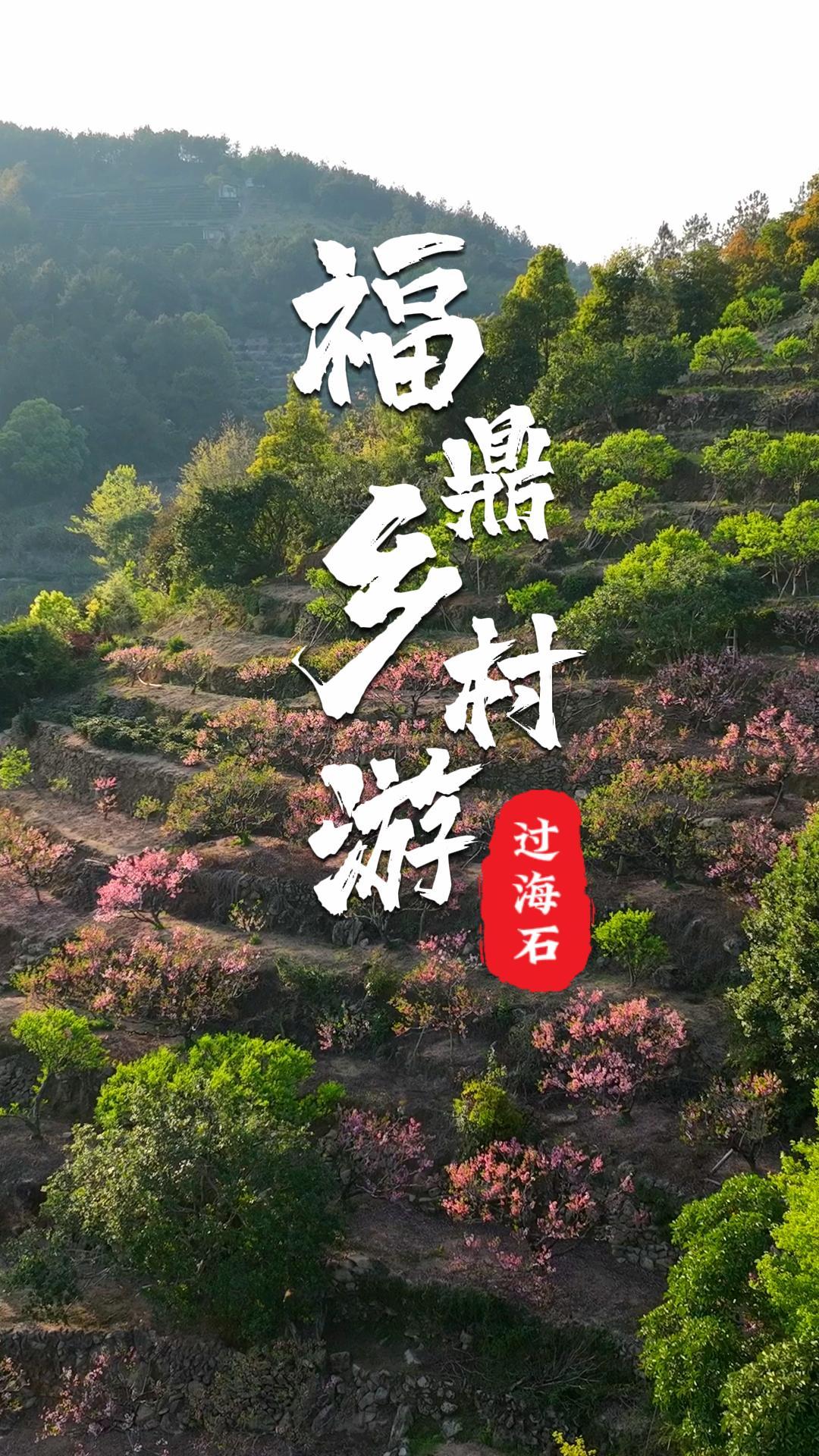 三生三世十里桃花，我在前岐鎮(zhèn)過海石村尋到了江南的春信
