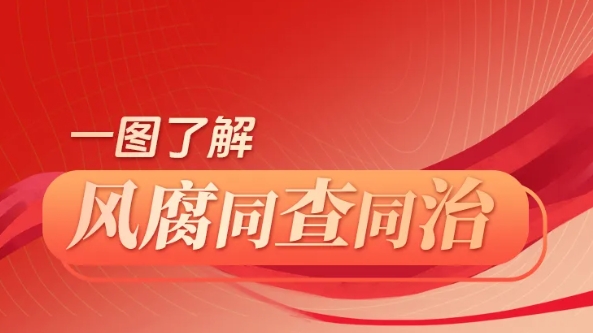 一圖了解｜何為風腐同查同治？