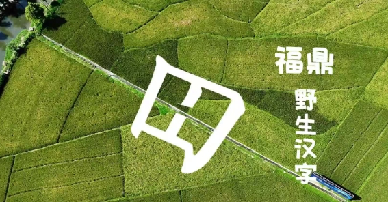 當福鼎的自然風光遇上“野生”漢字，一撇一捺都在勾勒獨屬于福鼎的美麗景色！