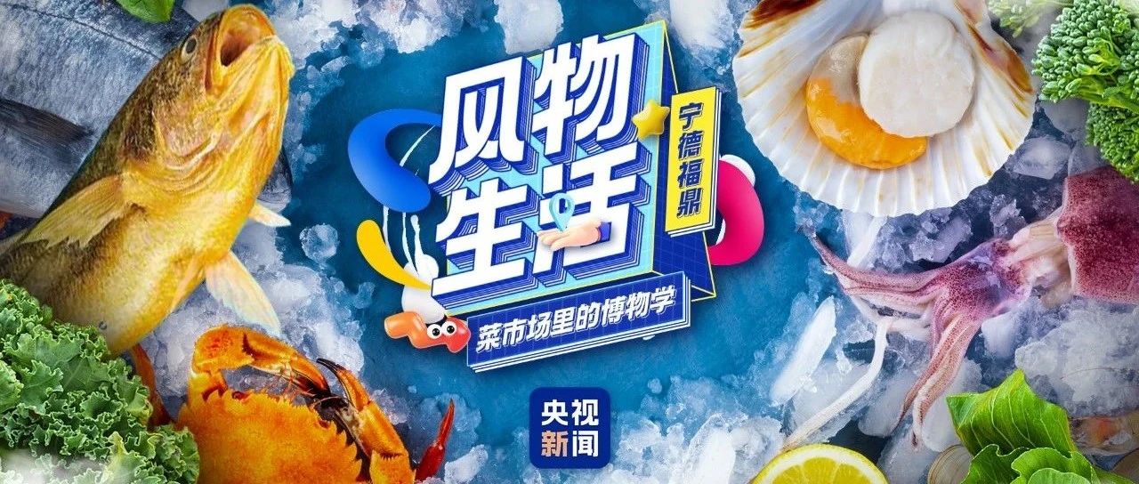 福鼎海鮮有多鮮？央視來(lái)探秘→