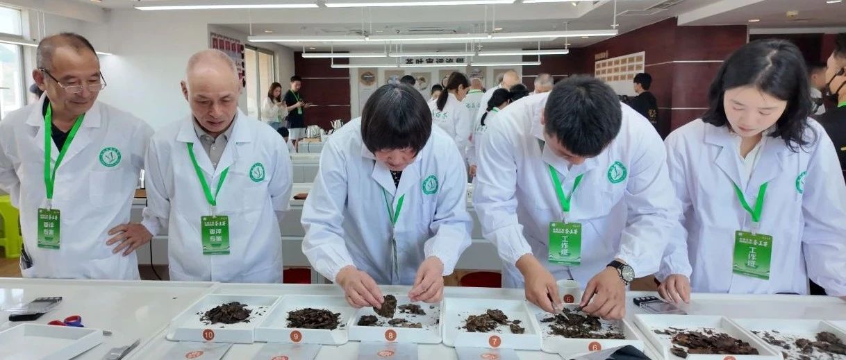 首屆全國福鼎老白茶茶王賽開賽！