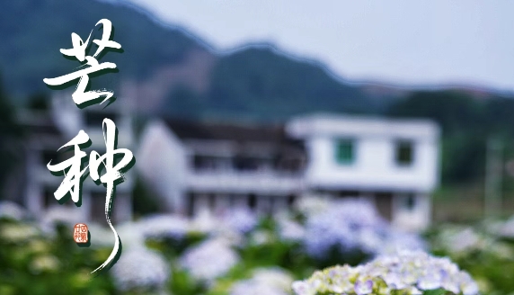 “芒”有所獲，“種”有所得
