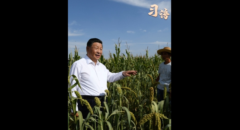 習語丨“中國人要把飯碗端在自己手里”