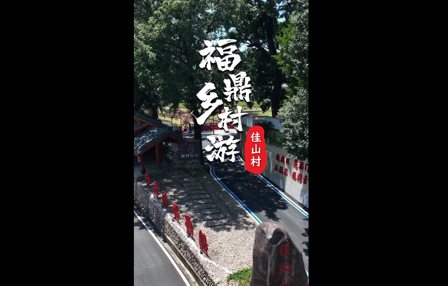 【玩轉福鼎】進福門走福道摸福樹逛福園！這個閩浙邊界小村，福氣太硬核！
