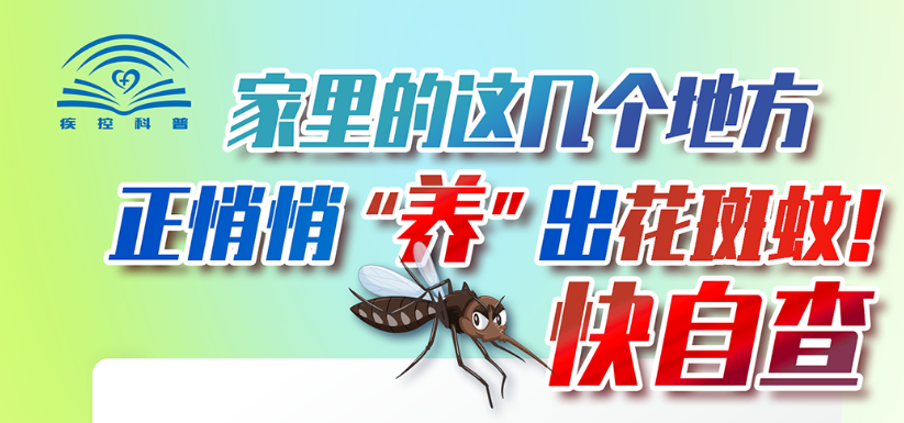 這些地方正悄悄“養”花蚊子！快自查→