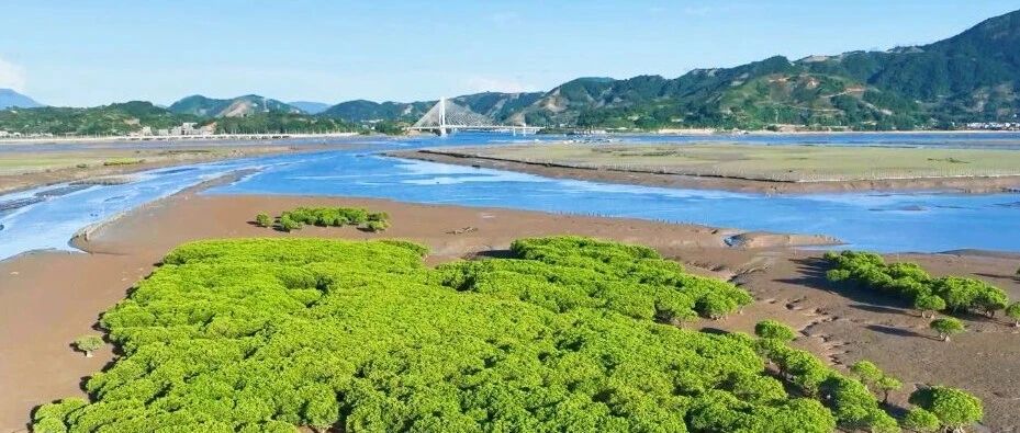 牢記囑托 譜寫篇章丨完工！八尺門內灣活力升級