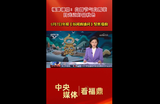9月7日央視新聞頻道《新聞直播間》聚焦福鼎：白露節氣白露茶 日光正好品秋色