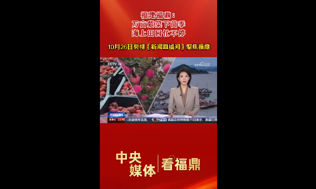 10月26日央視新聞?lì)l道《新聞直播間》聚焦福鼎：萬畝紫菜下苗季 海上田園忙不停